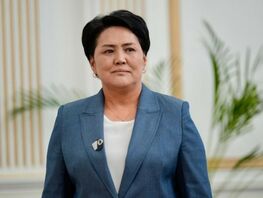 Роза Мамырбаева президенттин иш&nbsp;башкаруучусунун орун басары болуп дайындалды 