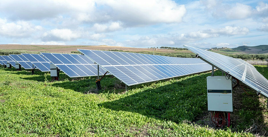 иллюстративное