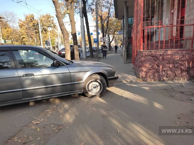 читателя 24-kg.com