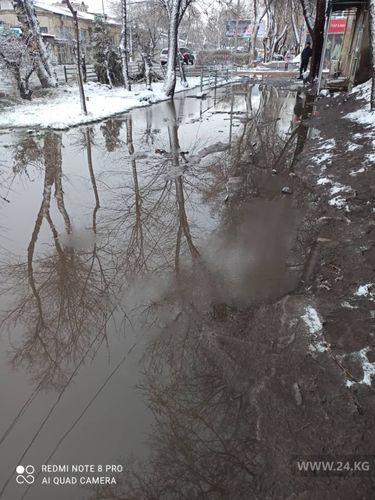 читателя 24-kg.com