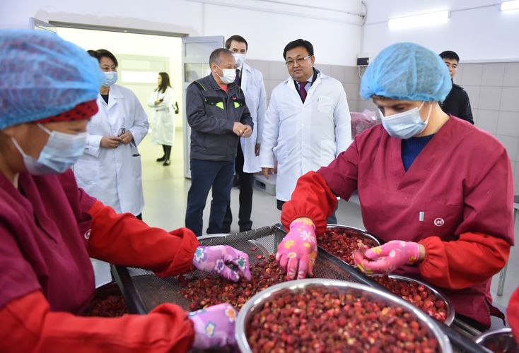 пресс-службы кабинета министров