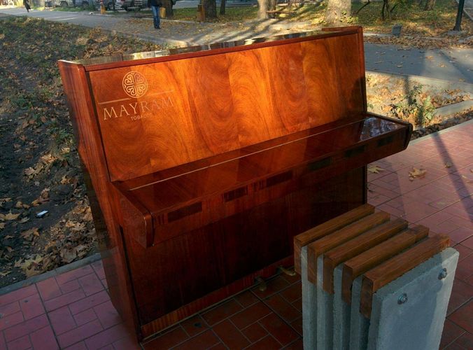 Айбека Сатыбалдиева