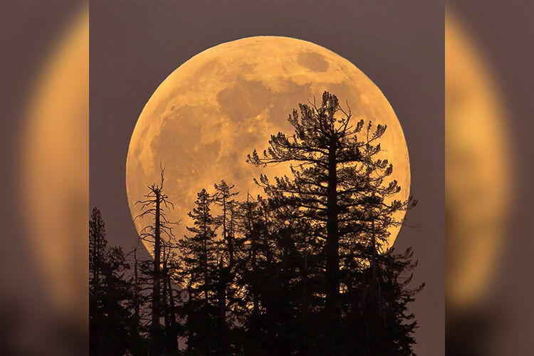 Интернеттен алынды