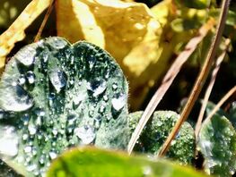 Озеро Кель-Суу и&nbsp;ноябрьский Бишкек. Фото и&nbsp;видео читателей 24-kg.com 