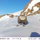 Фото Союза охраны природы Германии (NABU) в Кыргызстане