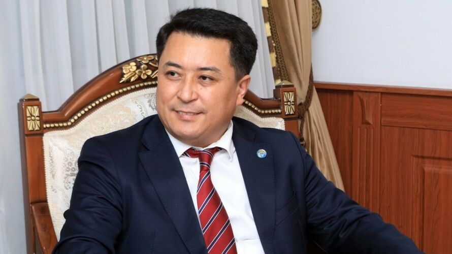 из интернета