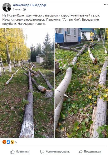 скриншот из Facebook