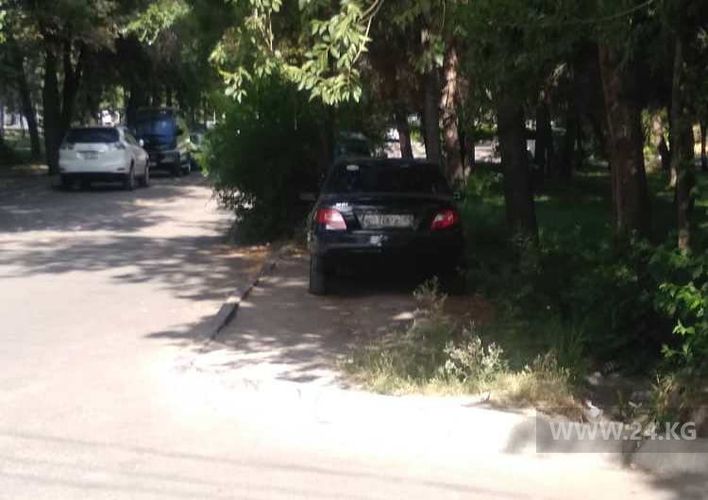 читателя 24-kg.com