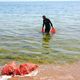Фото представительства ЕС в КР. Акция #EUBeachCleanUp 