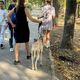 Фото читателя 24-kg.com